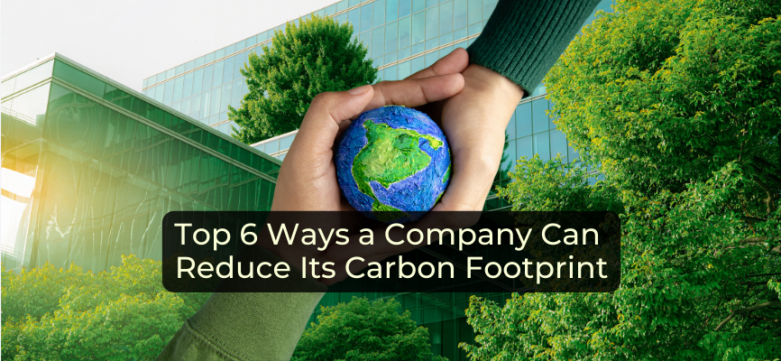 Top 6 Ways a Company Can Reduce Its Carbon Footprint